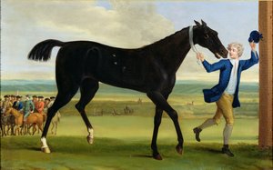 ラトランド公爵の「ボニーブラック」、1720年頃